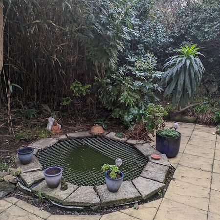 St Ives The Garden Apartment מראה חיצוני תמונה